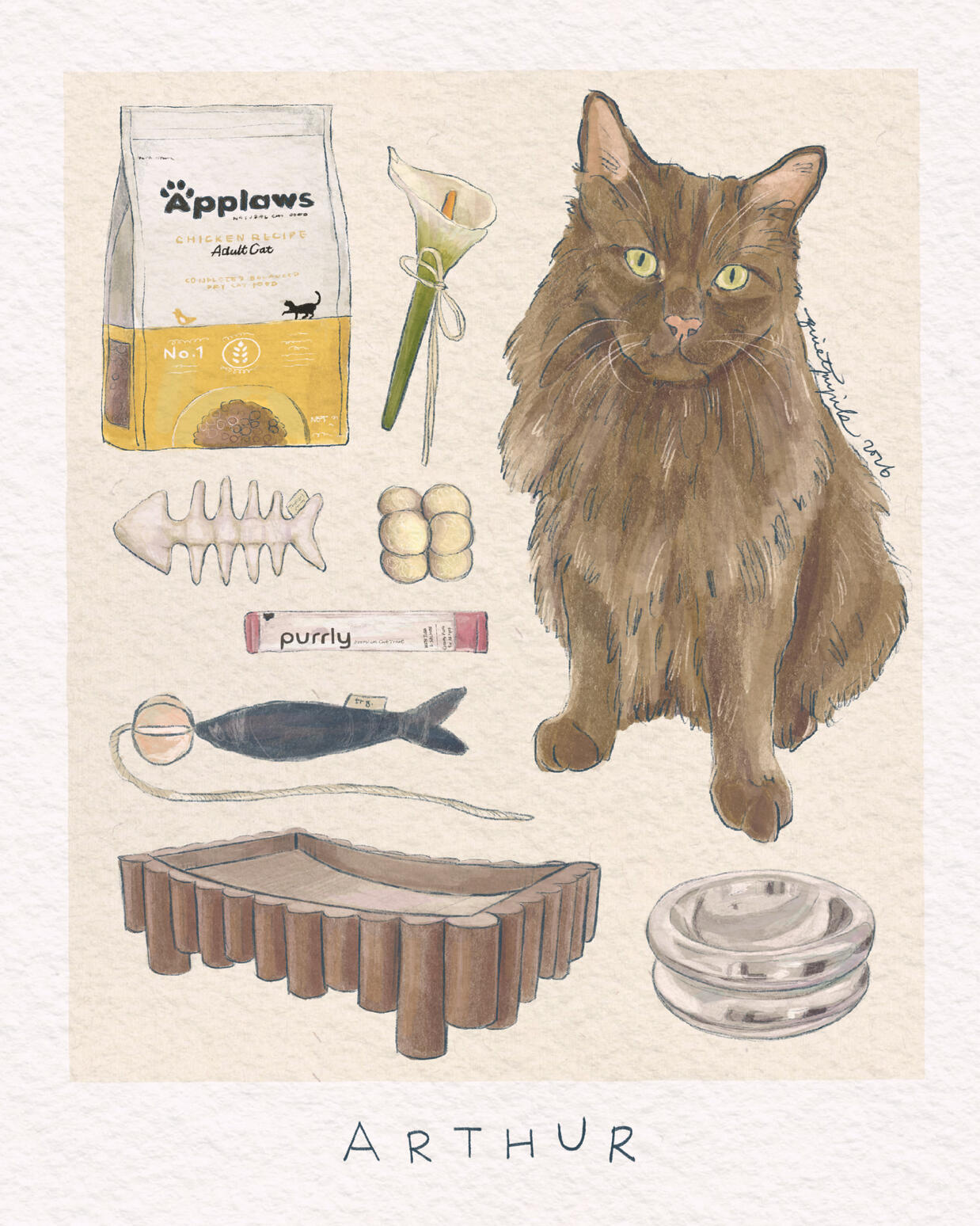 1 pet + 7-10 Items 1 pet + 7-10 Items