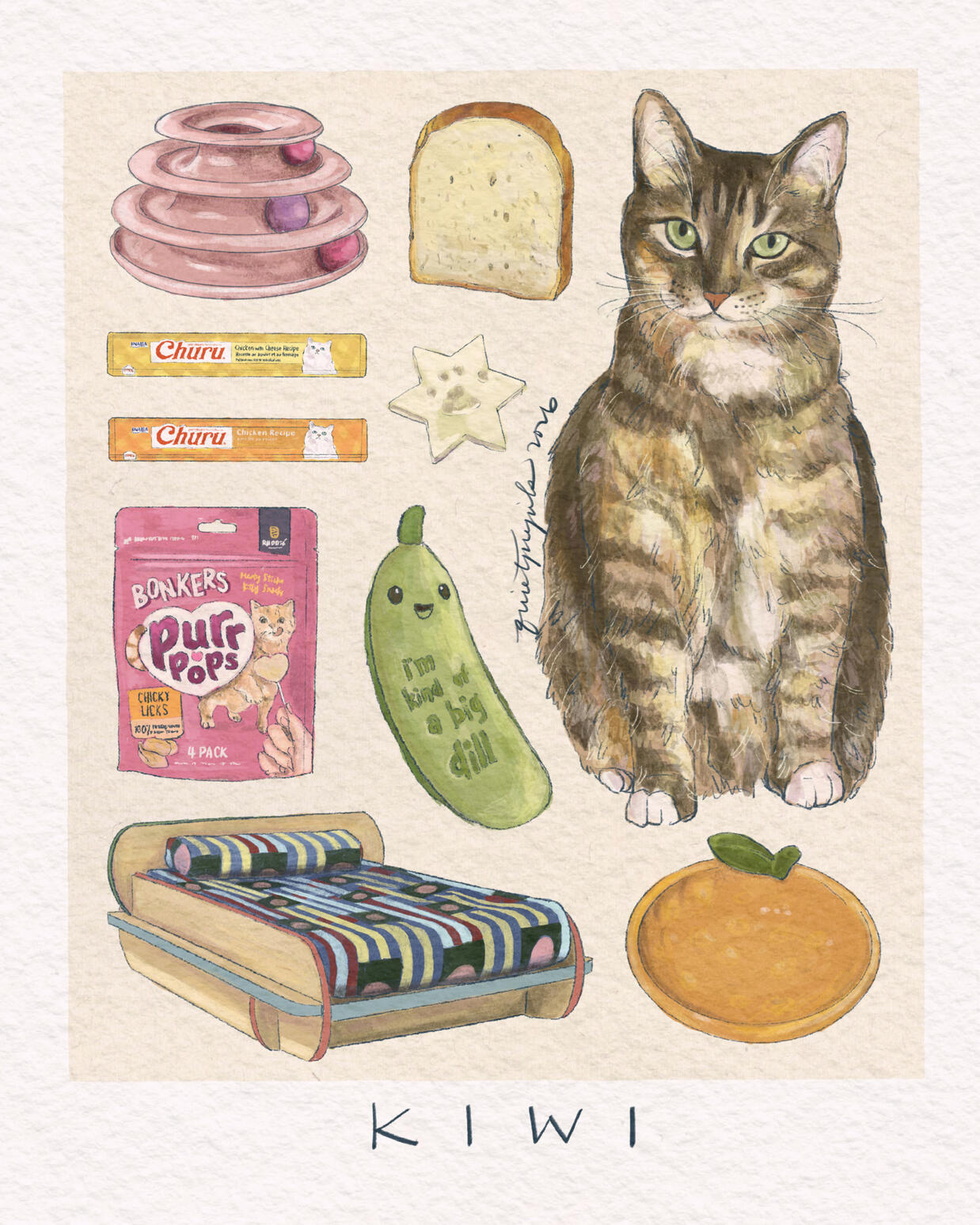 1 pet + 7-10 Items 1 pet + 7-10 Items